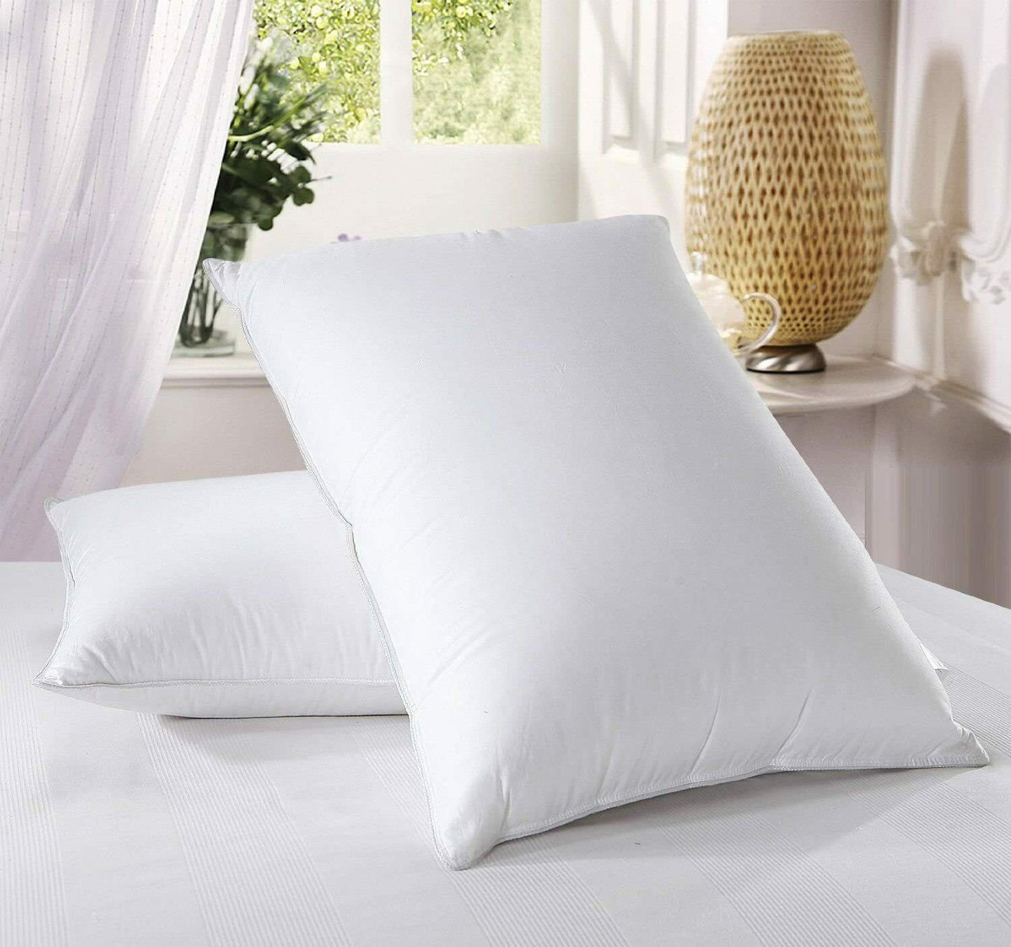 2 Pack Duck Feather Pillows Size: 50 x 70 cm
